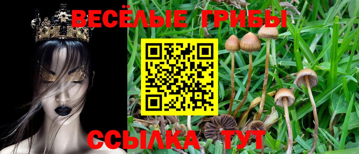 Галлюциногенные грибы прущие грибы  Вход с VPN  Моздок  Галлюциногенные грибы ЛСД 